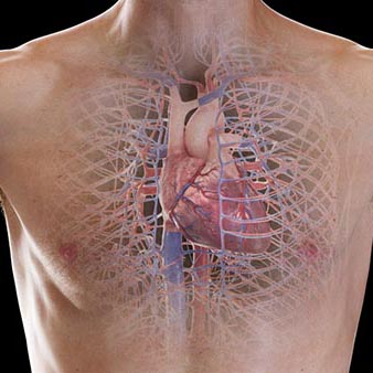 implantable loop overview Joburg South Arrhythmia Centre Home