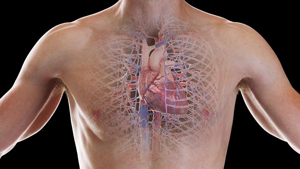 implantable loop Joburg South Arrhythmia Centre Implantable Loop Recorder Insertion
